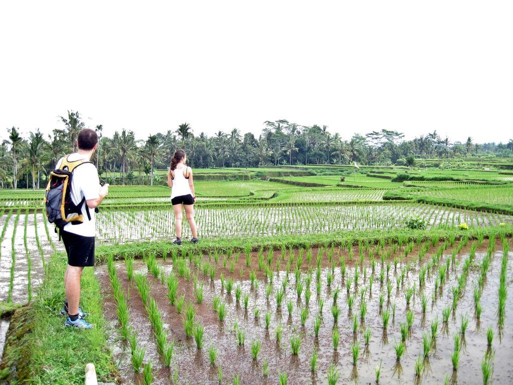 Uma Caming Villas & Gym Tegallalang  Ngoại thất bức ảnh