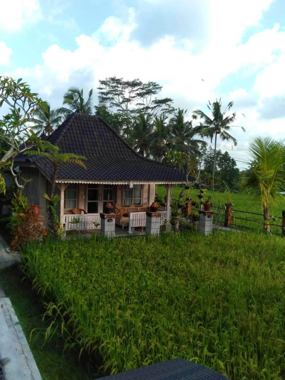 Uma Caming Villas & Gym Tegallalang  Ngoại thất bức ảnh