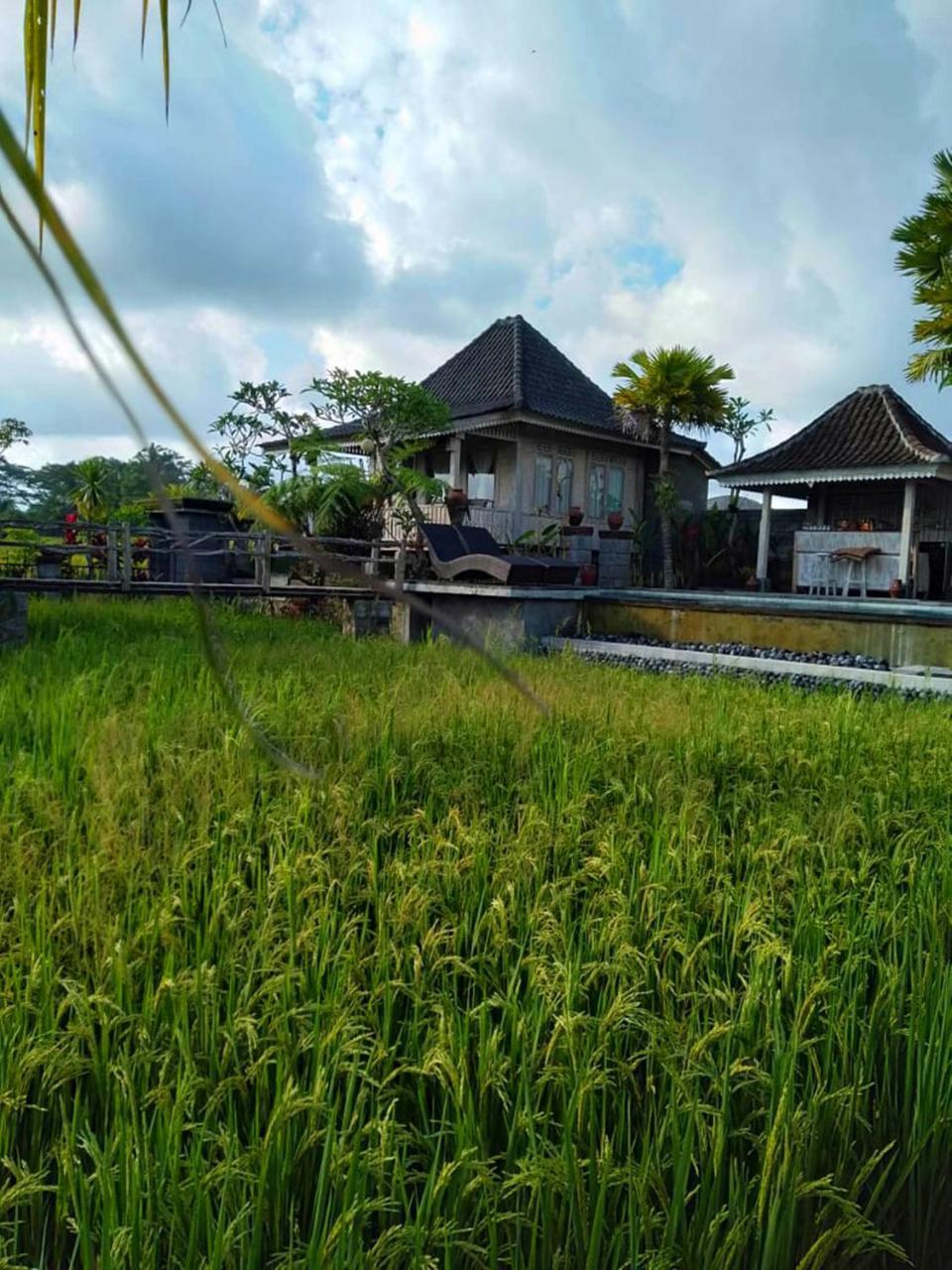 Uma Caming Villas & Gym Tegallalang  Ngoại thất bức ảnh